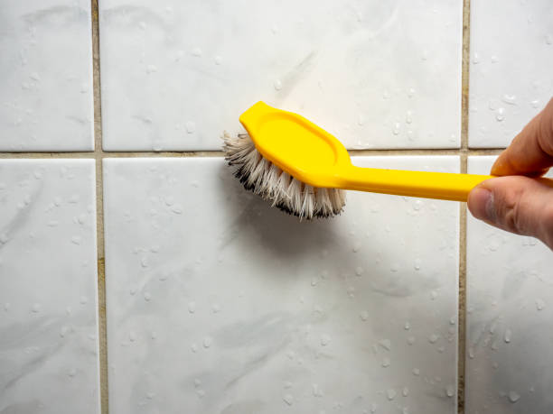 Best Best Mold Removal Companies  in Old Jamestown, MO