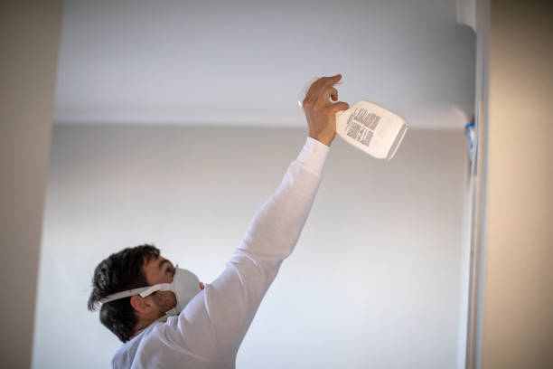 Professional Mold Removal in Old Jamestown, MO