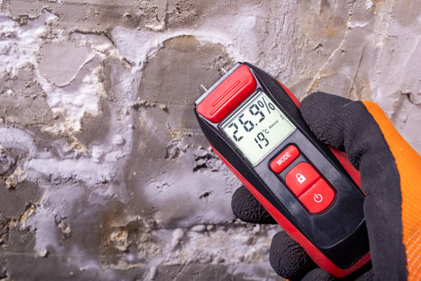 Best Home Mold Removal  in Old Jamestown, MO